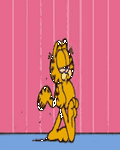 pic for Garfield Lesson